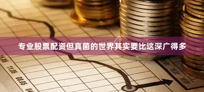 专业股票配资但真菌的世界其实要比这深广得多