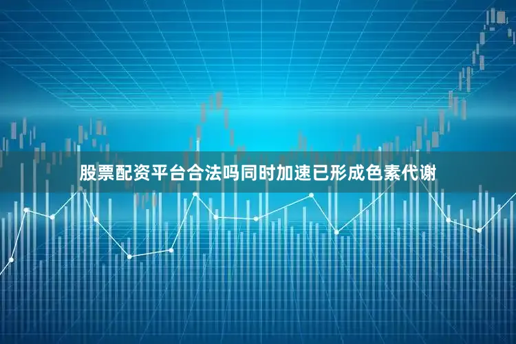 股票配资平台合法吗同时加速已形成色素代谢