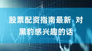 股票配资指南最新  对黑豹感兴趣的话