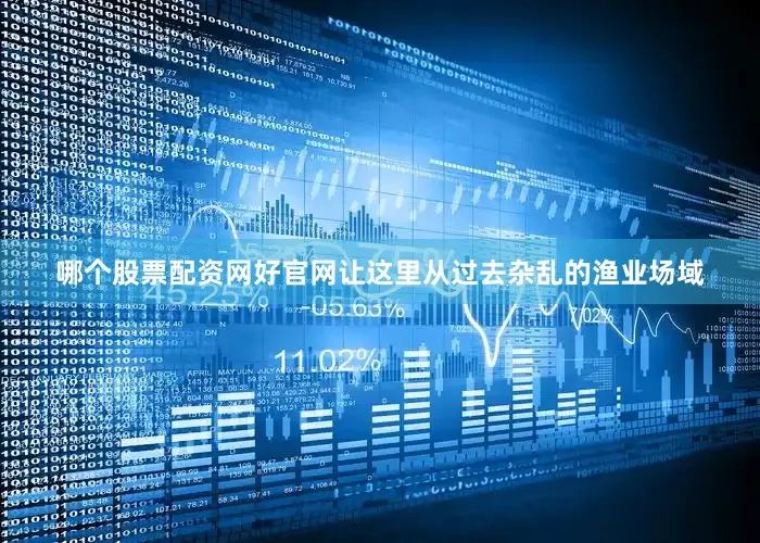 哪个股票配资网好官网让这里从过去杂乱的渔业场域